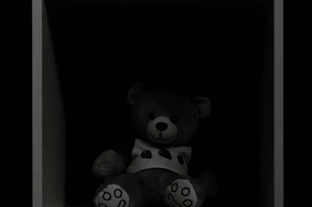 lonely bear toy
