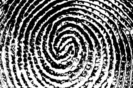 Thumb print featuring artistic, biometric, and blank