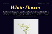 Garo – Serif Font, a Serif Font by Koplexs Studio (Thumbnail 3 of 10)