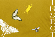 Tropica Collection, a Seasonal Illustration by Michael Rayback Design (Thumbnail 11 of 15)