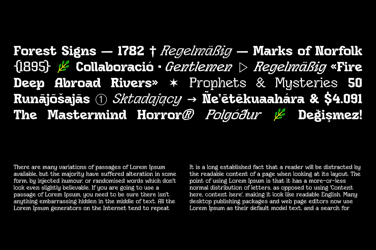 Cetara, a Serif Font by ArimaType (Photo 2 of 10)