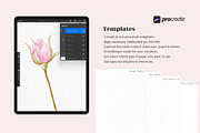 Procreate Watercolor Brushes Kit, a Brush Add-On by Kaya Fonts (Thumbnail 3 of 15)