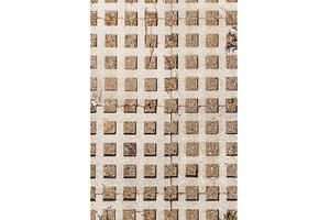A beautiful vertical texture of a, a Background Photo by Illustrations&photos