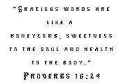 Foxy a Hand-lettered Modern Display, a Handwritten Font by Eryn Rose Design (Thumbnail 11 of 12)