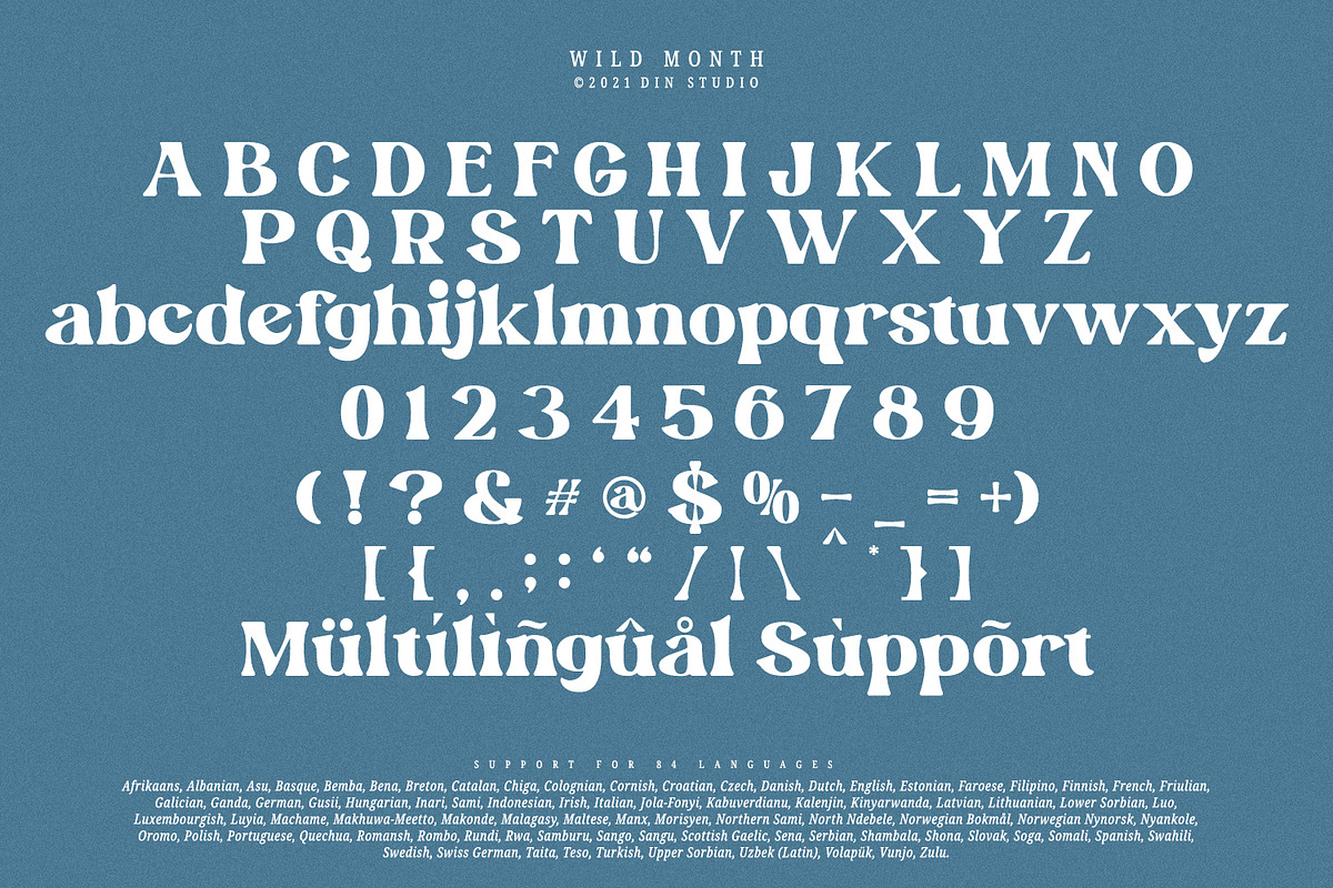 Wild Month, a Serif Font by din-studio.com (Photo 8 of 10)