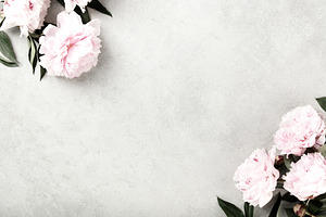Pink Peony Flowers on Light Gray Stone Background, a Beauty & Fashion Photo by Natalia Klenova's Shop