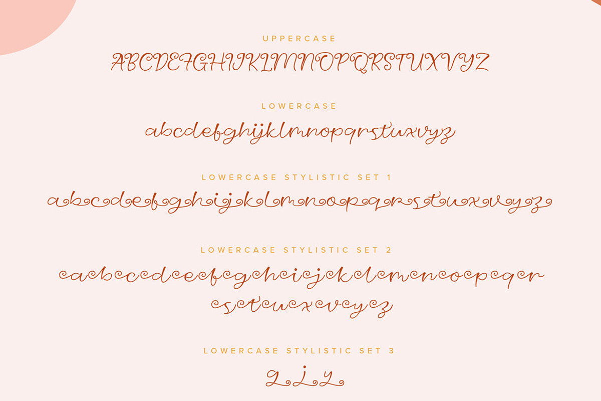 Lily Tango - Display | Script | Logo preview 6
