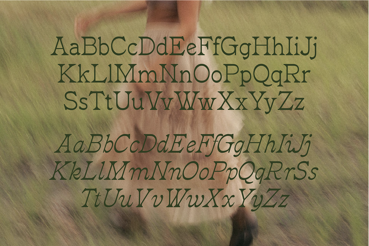 Ceremony Serif, a Serif Font by MEG BURK CHOI (Photo 2 of 3)