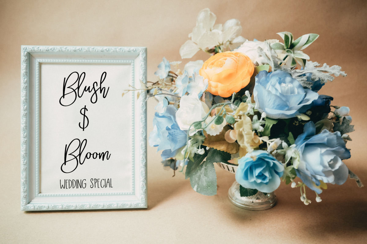 Skylar | Script Font preview 3