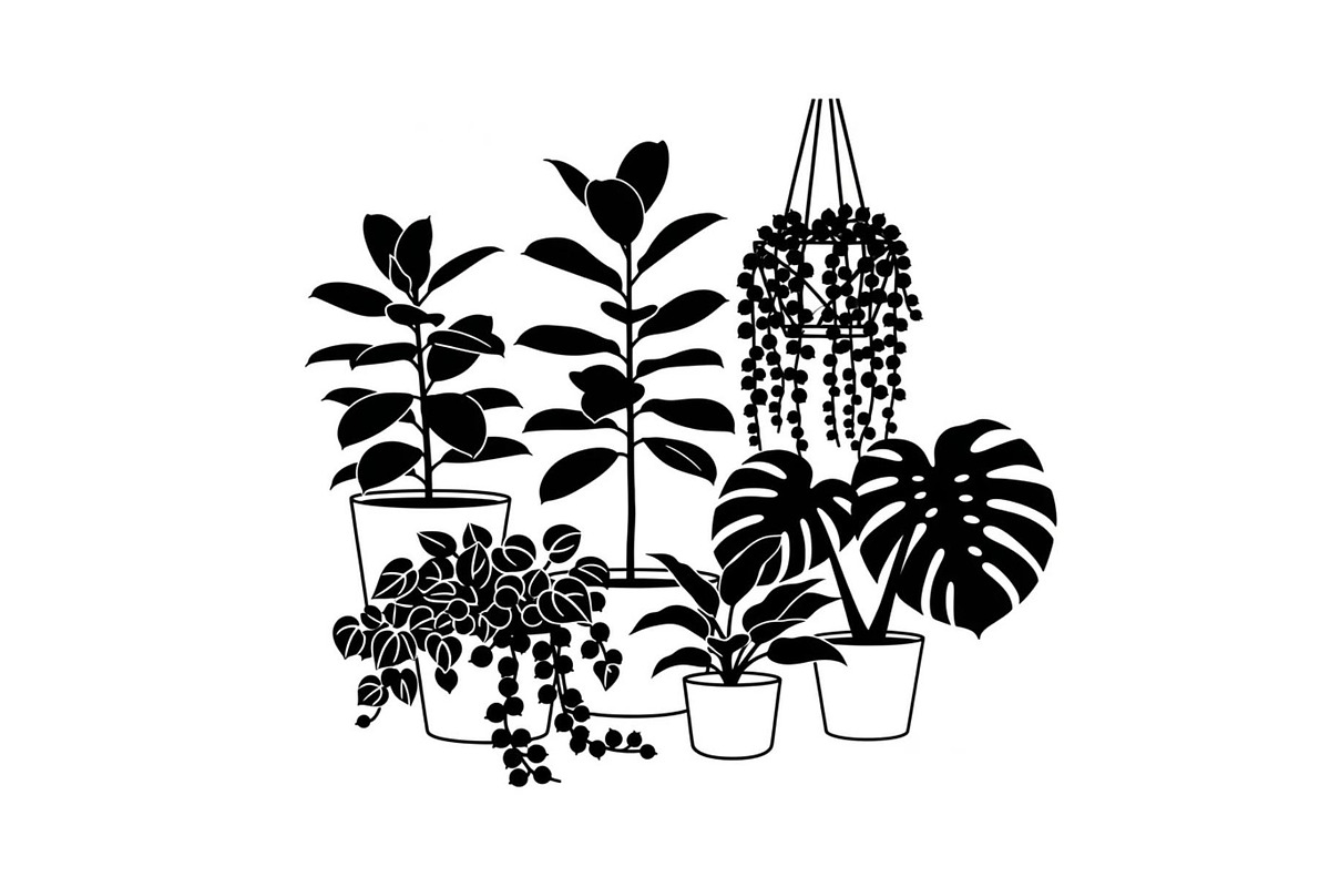 50 Botanical Garden Silhouette bundl, an Illustration by Designs_River (Photo 19 of 51)