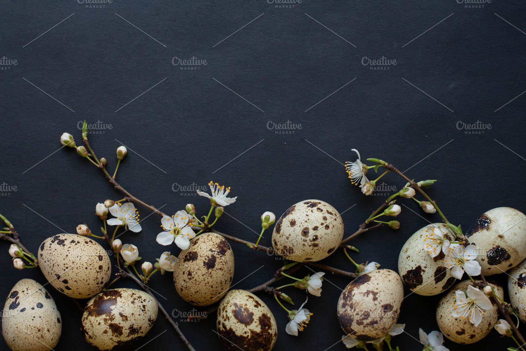 Quail eggs cherry flowers stock photo containing april and background, a Holiday Photo by Arymer