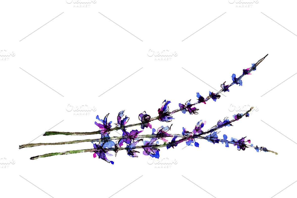 Wedding illustration, watercolor set, a Decorative Illustration by Watercolor_Vector Graphic (Photo 3 of 9)
