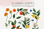 Set of flowers and citrus, a Decorative Illustration by a_ptichkina (Thumbnail 2 of 10)