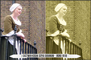 Darkroom Toners - Sepia Profiles, a Plug-in Add-On by Raztrend (Thumbnail 20 of 30)