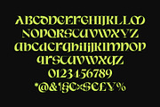 ED Brigid Typeface, a Serif Font by Emyself Design (Thumbnail 4 of 12)