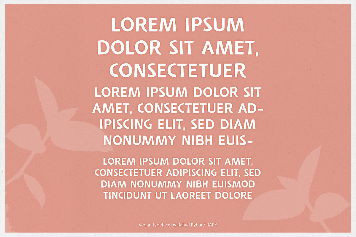 Vegan | sans serif display font preview 5