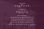 Vanadoora Script Fonts, a Script Font by mahstudios (Thumbnail 14 of 15)