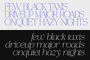Piloner - 18 Font, a Serif Font by Pista Mova (Thumbnail 2 of 13)