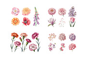 Watercolor Floral Clipart, a Decorative Illustration by ForhadGFX (Thumbnail 8 of 12)