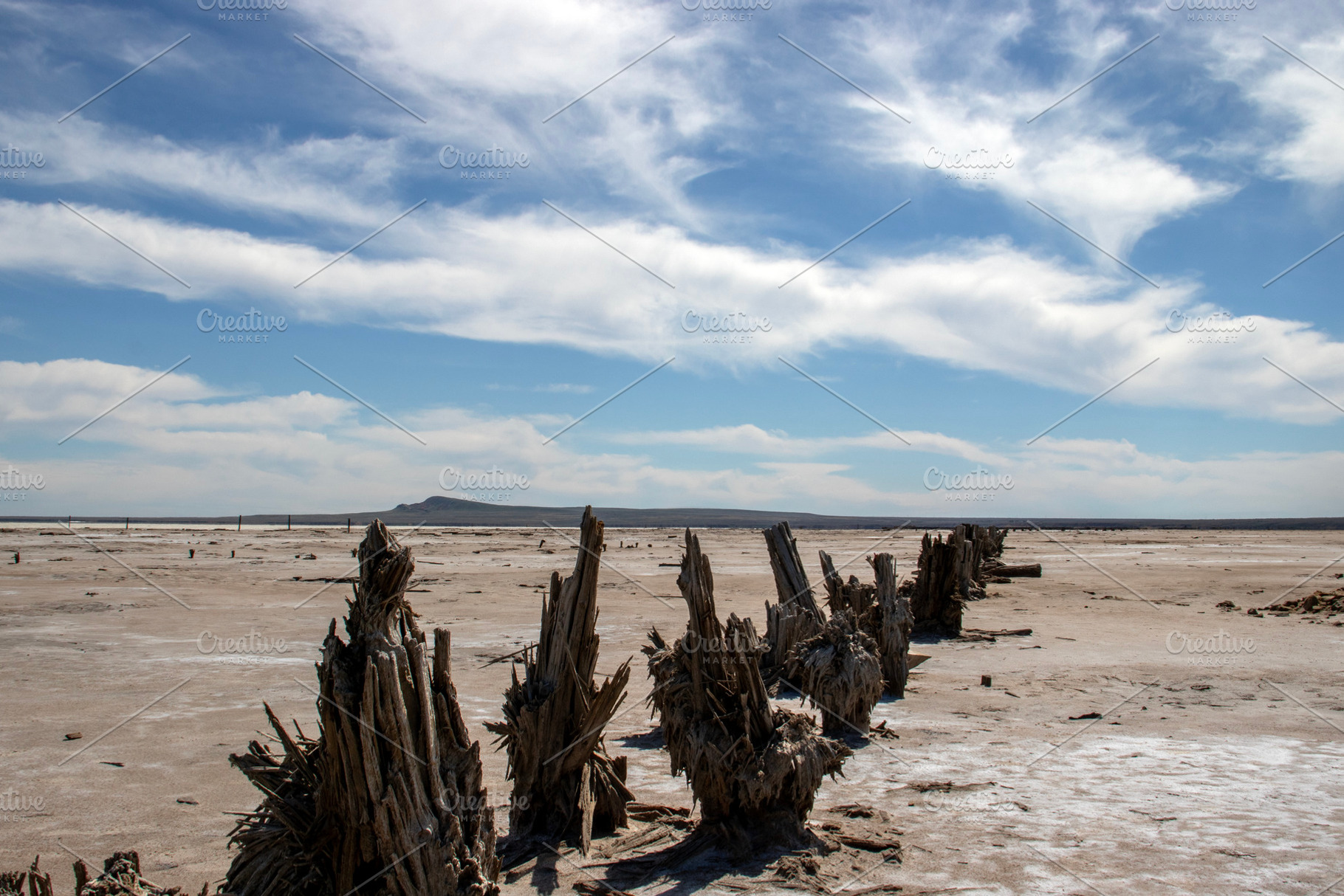 Dried-up salt lake Baskunchak., a Nature Photo by Schreibikus