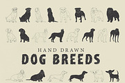 Hand Drawn Dog Breeds Vector 1, an Animal Illustration by Seaquint (Thumbnail 1 of 3)