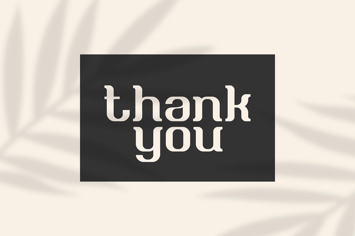 Briesa - Modern Elegant Display Font, a Font by Mily Studio (Photo 15 of 15)