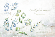 Eucalyptus essence watercolor set, an Illustration by Tatiana Troian (Thumbnail 2 of 4)