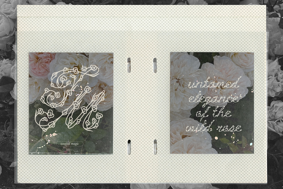 Hedge Rose Decorative Floral Script, a Script Font by AnMark (Photo 4 of 10)