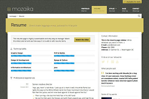 Mozaika Responsive WP Portfolio Tool