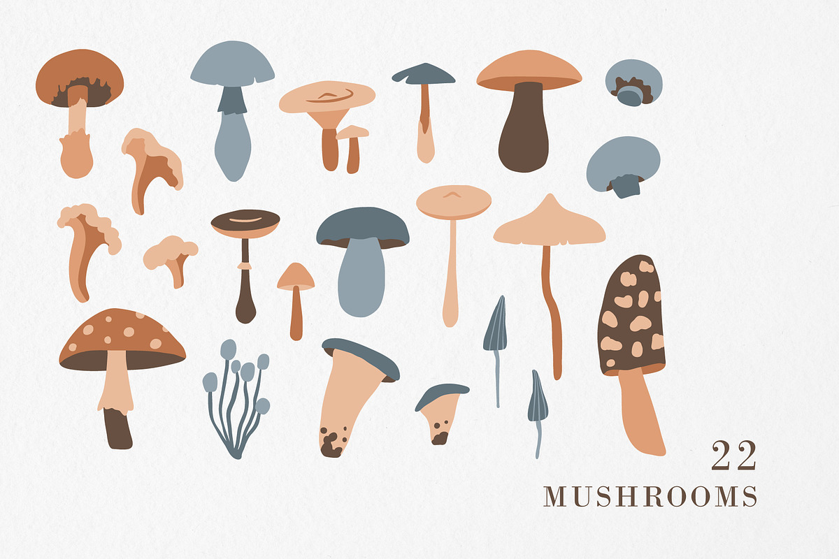 FOREST TREASURES big vector bundle, a Decorative Illustration by Lena Nikolaeva (Photo 4 of 16)