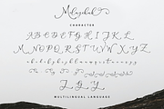Melnychuk Elegant Script, a Script Font by sizimon (Thumbnail 8 of 8)