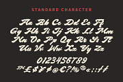 Bright Supply - Bold Script Font, a Script Font by Zarma Type (Thumbnail 11 of 12)