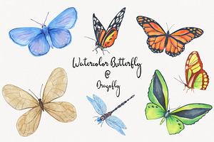 Watercolor Butterfly And Dragonfly