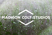 50 Rusty Metal Textures - Vol 1, a Texture Graphic by Madison Colt Studios (Thumbnail 31 of 51)