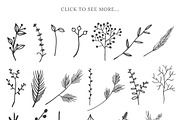 Modern botanical Photoshop brushes, a Brush Add-On by Little Bean (Thumbnail 7 of 8)