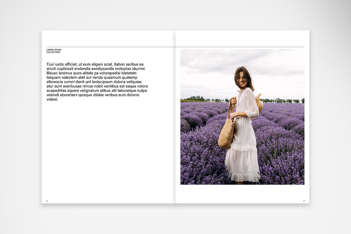 Chic Elegance Catalog Template, a Print Template by McLittle Stock (Photo 3 of 6)