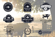 The Modern Serif Font Bundle, a Serif Font by Design 265 (Thumbnail 16 of 33)