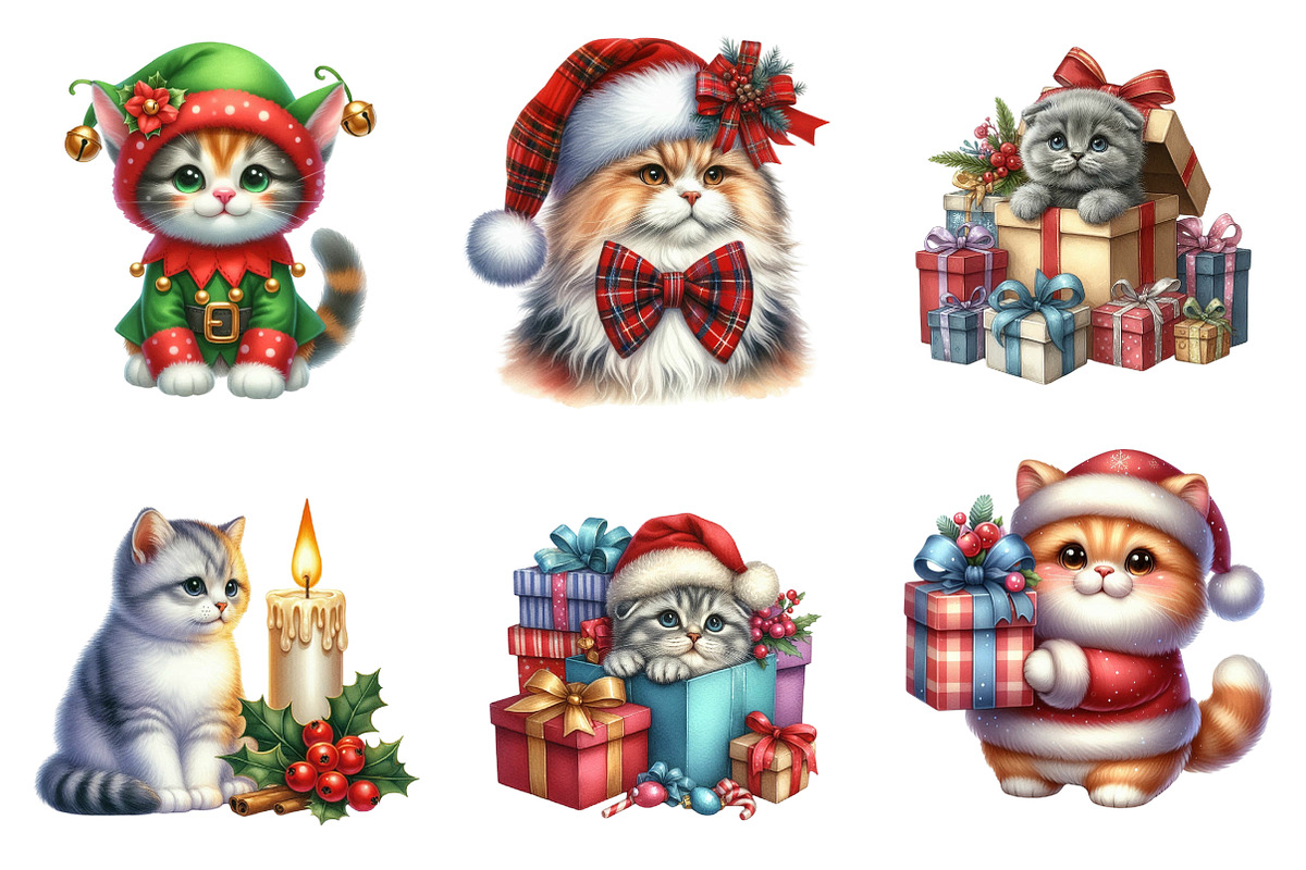 Christmas Scottish Cat Clipart PNG, an Illustration by SinaCreation (Photo 3 of 7)
