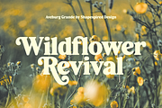 Aveburg Grande - Retro Chunk, a Serif Font by Shapespired Design (Thumbnail 10 of 22)