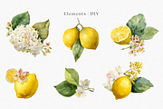 Watercolor Lemons & Hydrangeas, a Decorative Illustration by ThaismotaCreativeCo (Thumbnail 2 of 12)