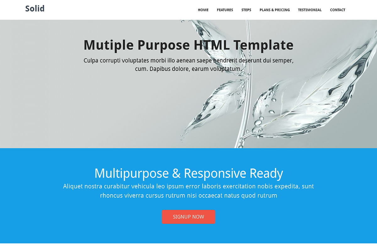 Solid - Bootstrap HTML Template, a Templates & Theme by Hpthemes