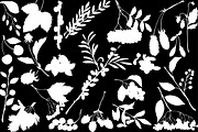 Vector berries, an Illustration by risovanya (Thumbnail 6 of 9)