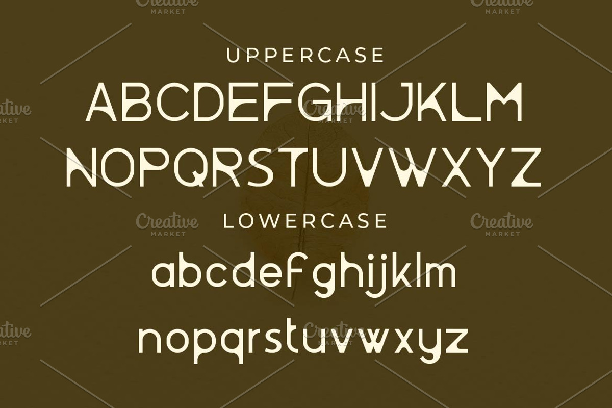 Pelara - Creative Sans Serif Font, a Sans Serif Font by Artiveko (Photo 2 of 4)