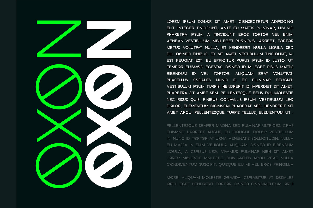 Carbido Typeface Overview, a Sans Serif Font by Design Stag (Photo 4 of 8)