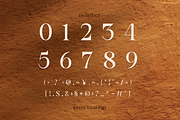 Bornatte Modern Ornament Serif Font, a Serif Font by Rasio Studio (Thumbnail 6 of 10)