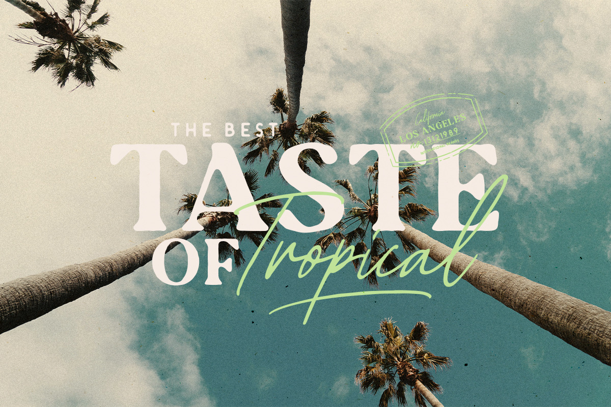Tropica Gardens - Font Trio (+LOGOS), a Script Font by Sarid Ezra (Photo 6 of 19)