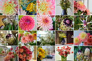 350 Photo Flower Arrangements, a Nature Photo by PopotLane (Thumbnail 4 of 8)