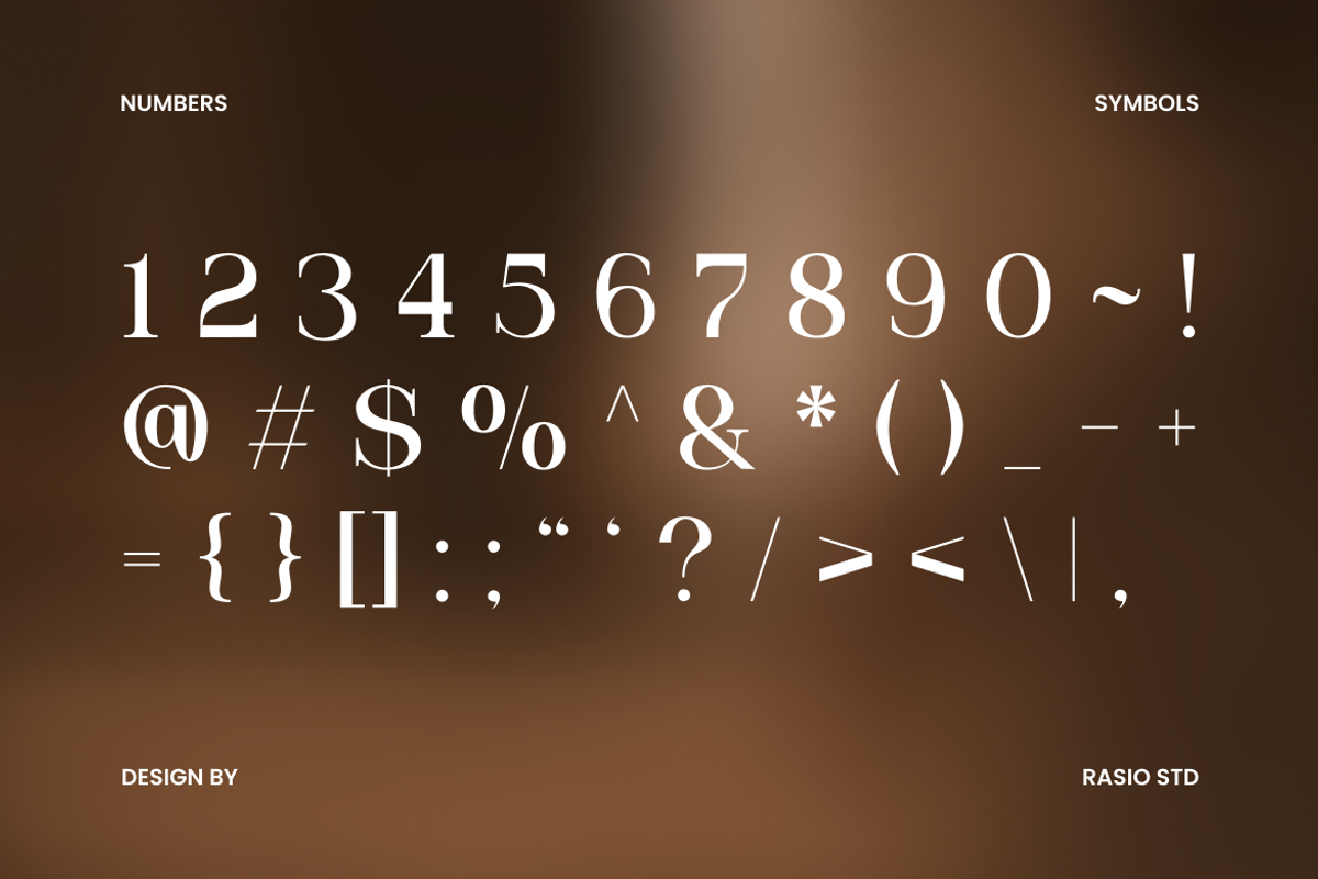 Drazelle Modern Editorial Serif Font, a Serif Font by Rasio Studio (Photo 3 of 9)
