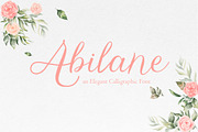 Abilane - Elegant Calligraphic Font, a Script Font by Typefactoryco (Thumbnail 1 of 10)
