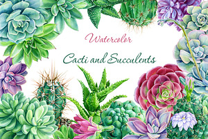 watercolor cacti and succulents